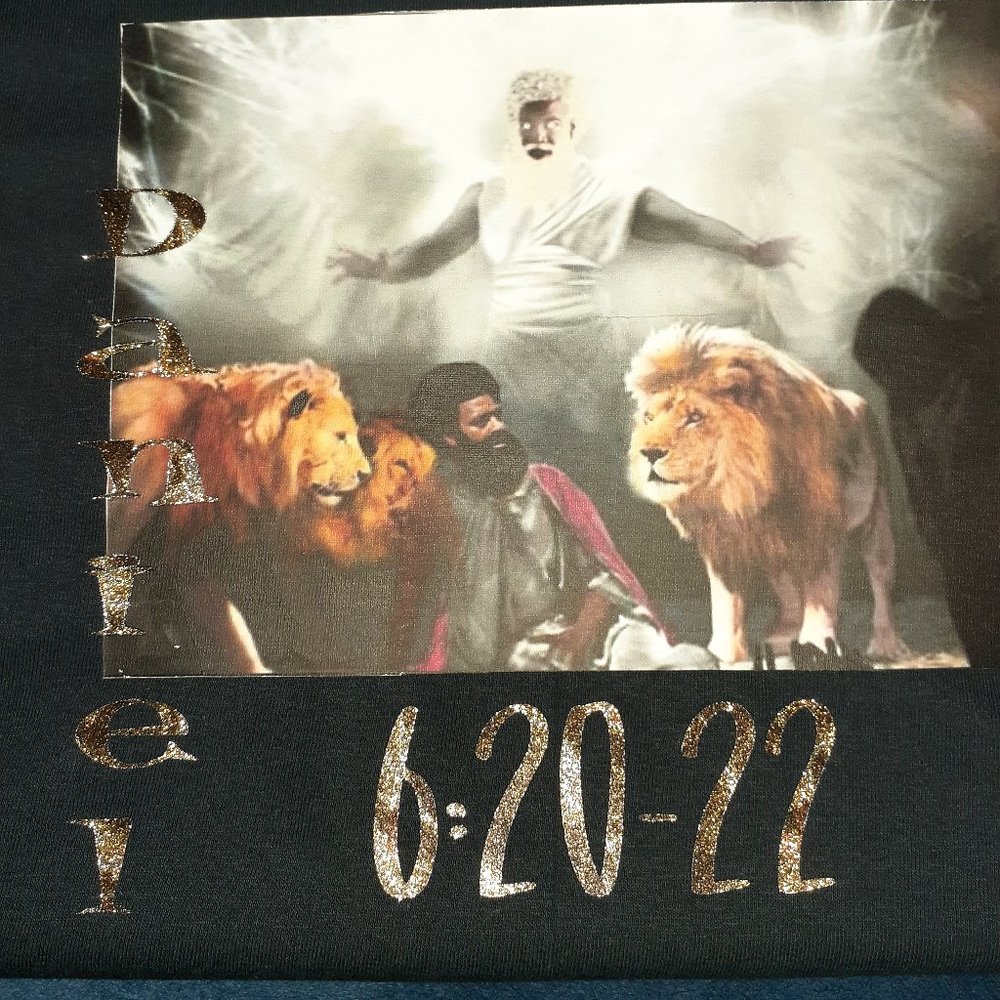 📸 Daniel 6 Lions Den front & back T-shirt